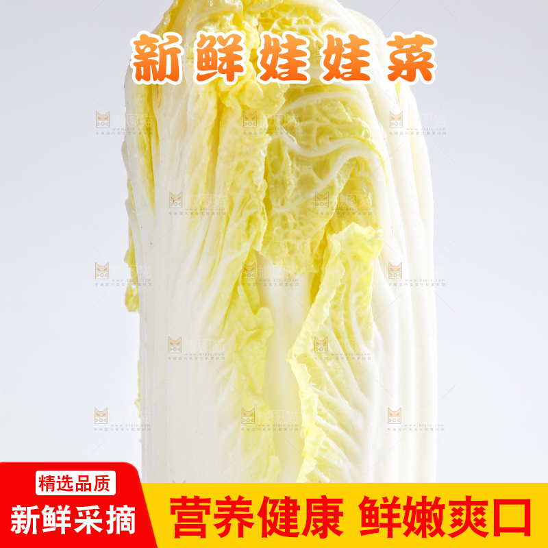 白底上的娃娃菜