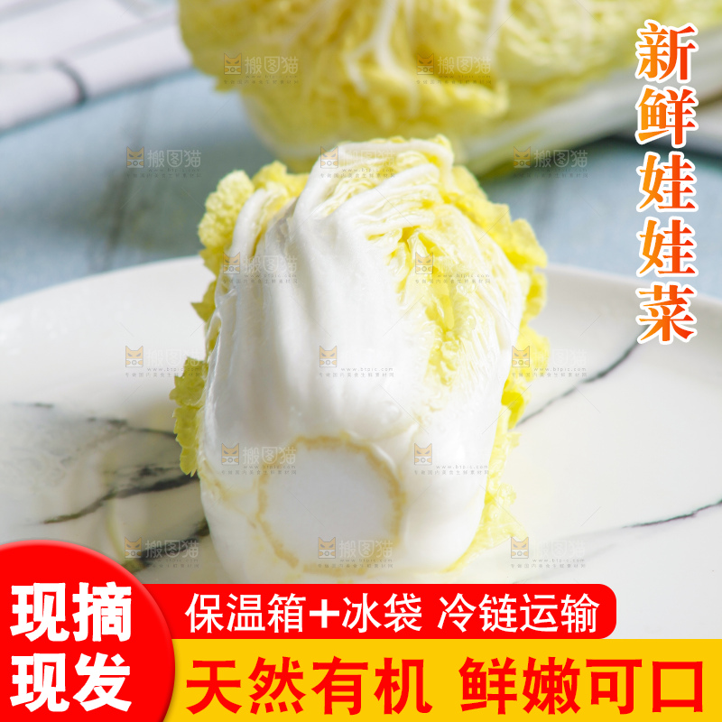 浅底上的娃娃菜