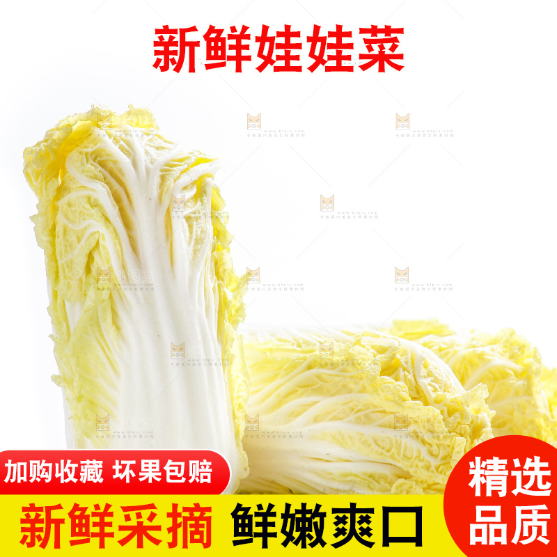 白底上的娃娃菜