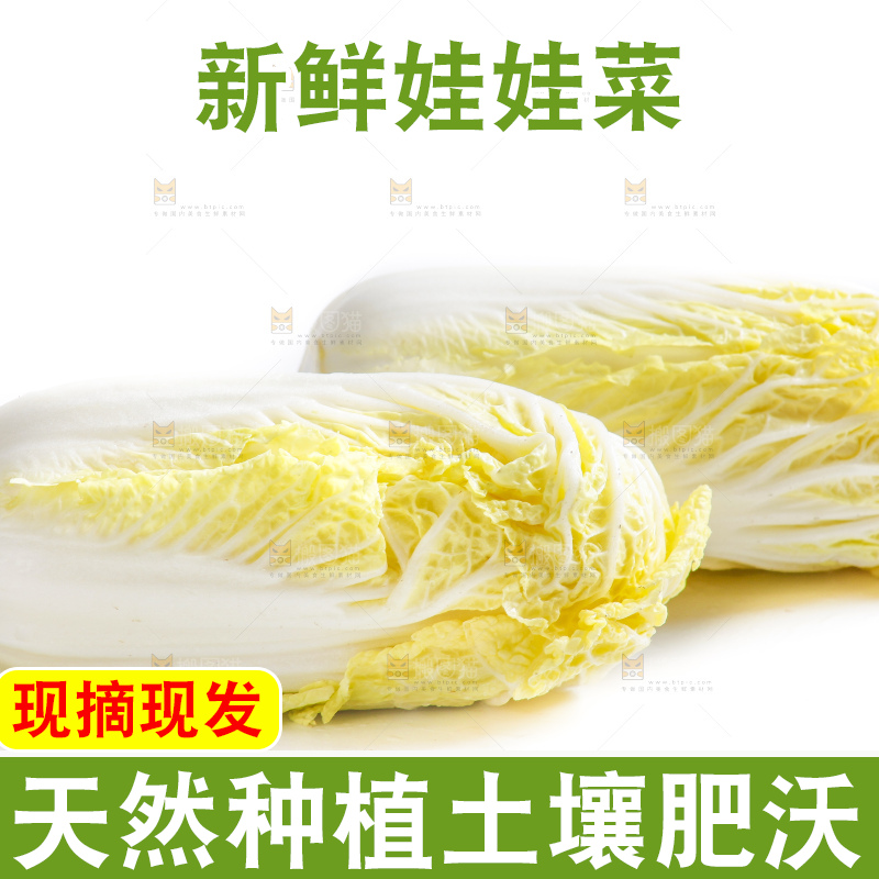 白底上的娃娃菜