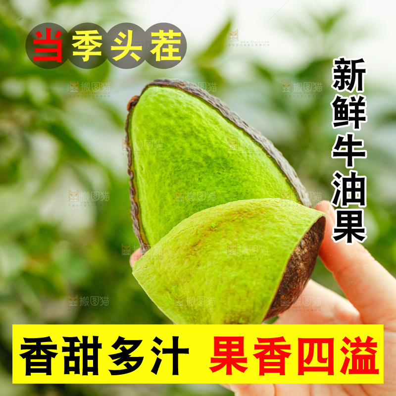 手里拿着巨无霸牛油果