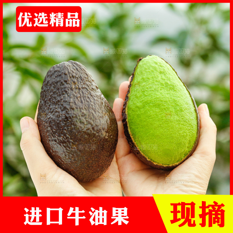 手里拿着巨无霸牛油果