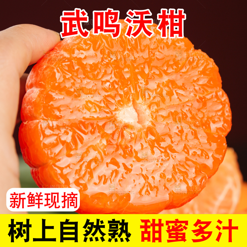 深底上的武鸣沃柑