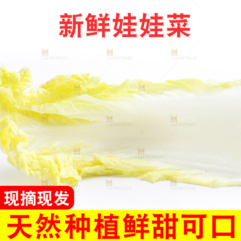 白底上的娃娃菜