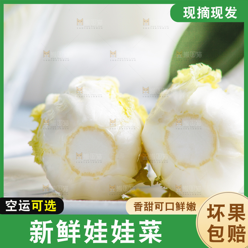 浅底上的娃娃菜