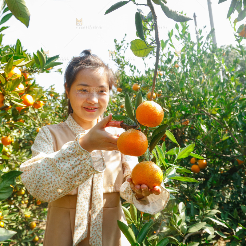 手里拿着新鲜蜜桔