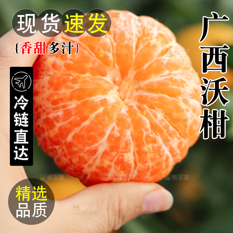 手里拿着新鲜沃柑