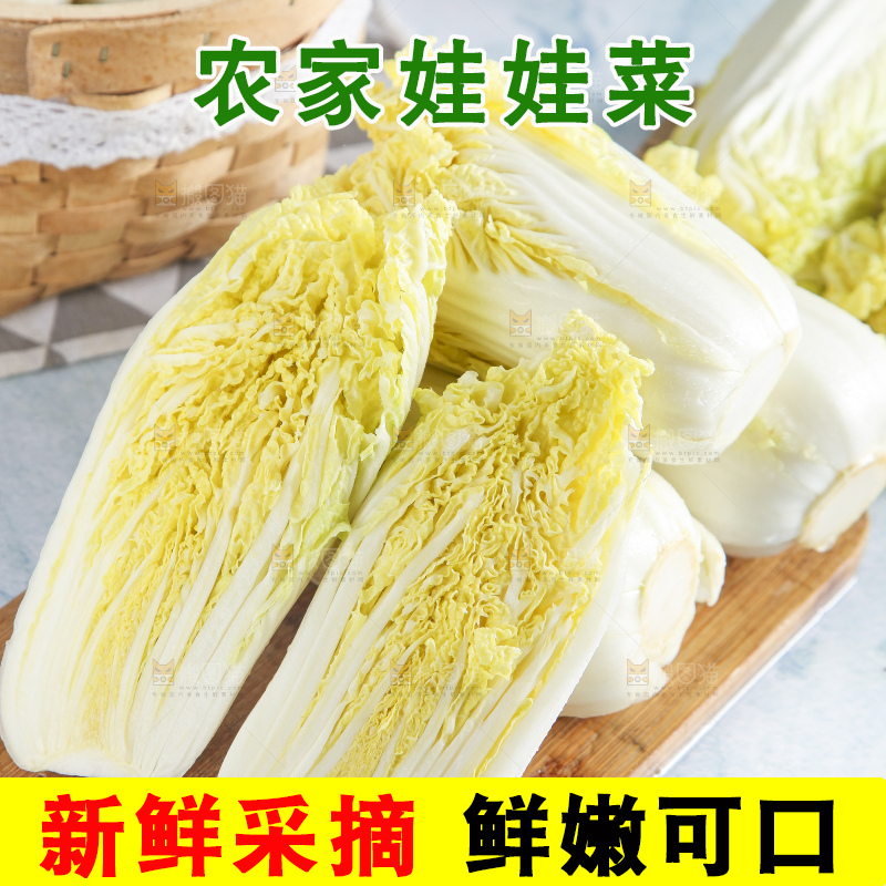 浅底上的娃娃菜