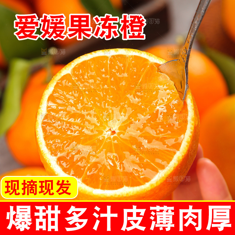 深底上的爱媛果冻橙