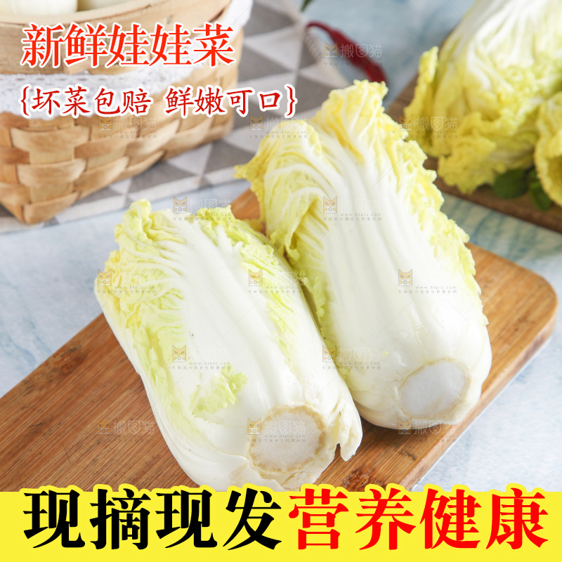 浅底上的娃娃菜
