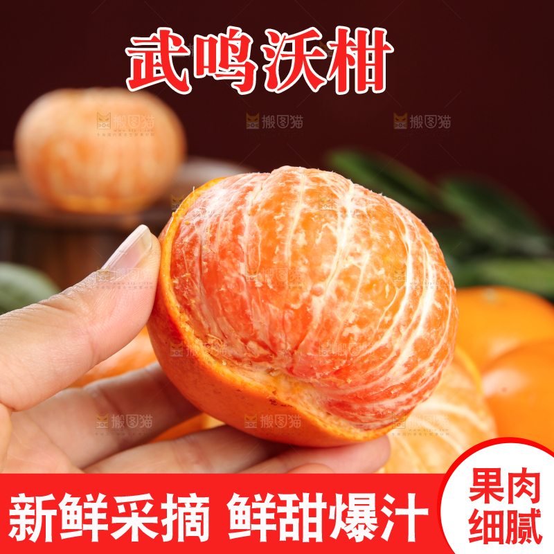 深底上的武鸣沃柑