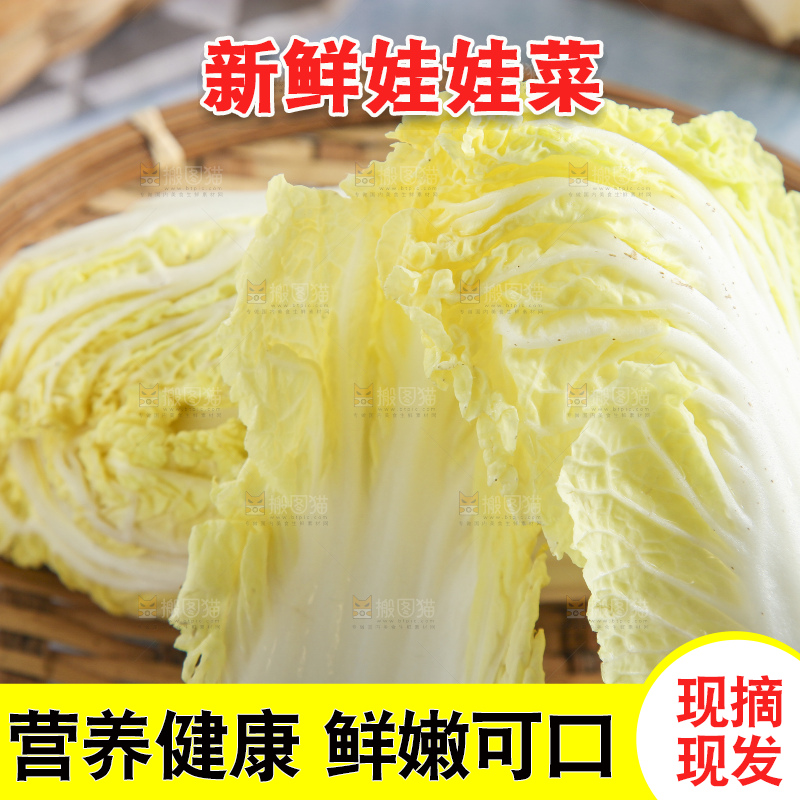 浅底上的娃娃菜