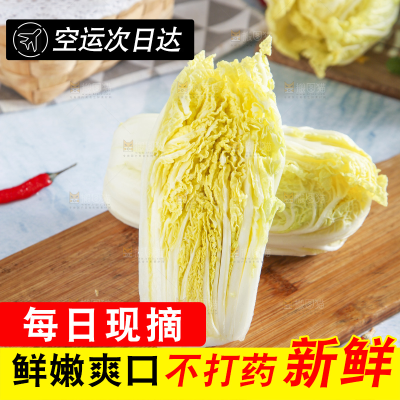 浅底上的娃娃菜