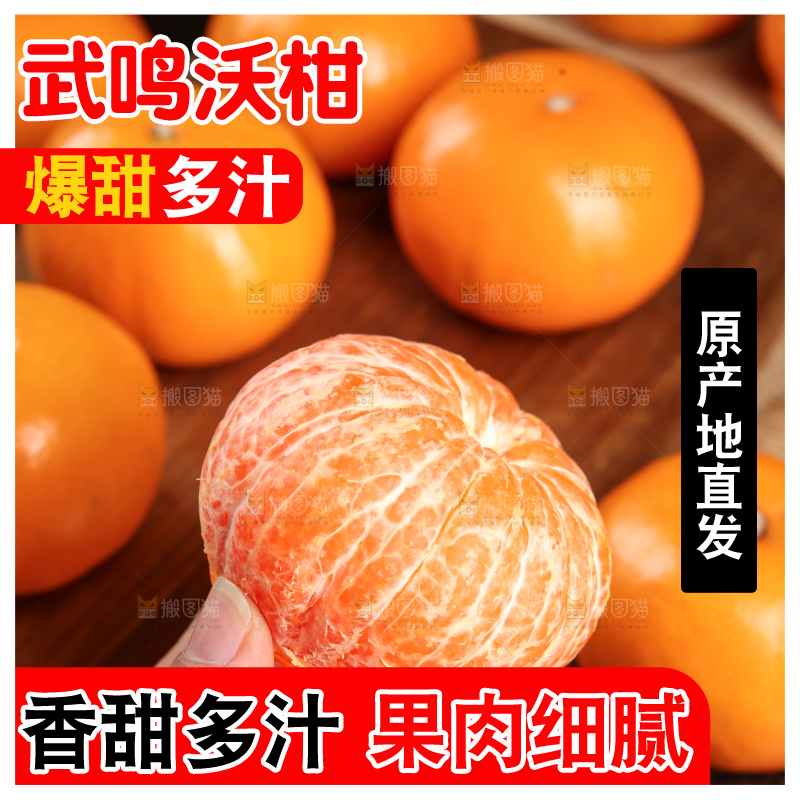 深底上的武鸣沃柑