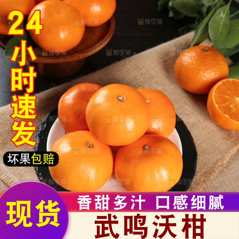深底上的武鸣沃柑