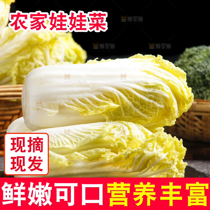 深底上的娃娃菜