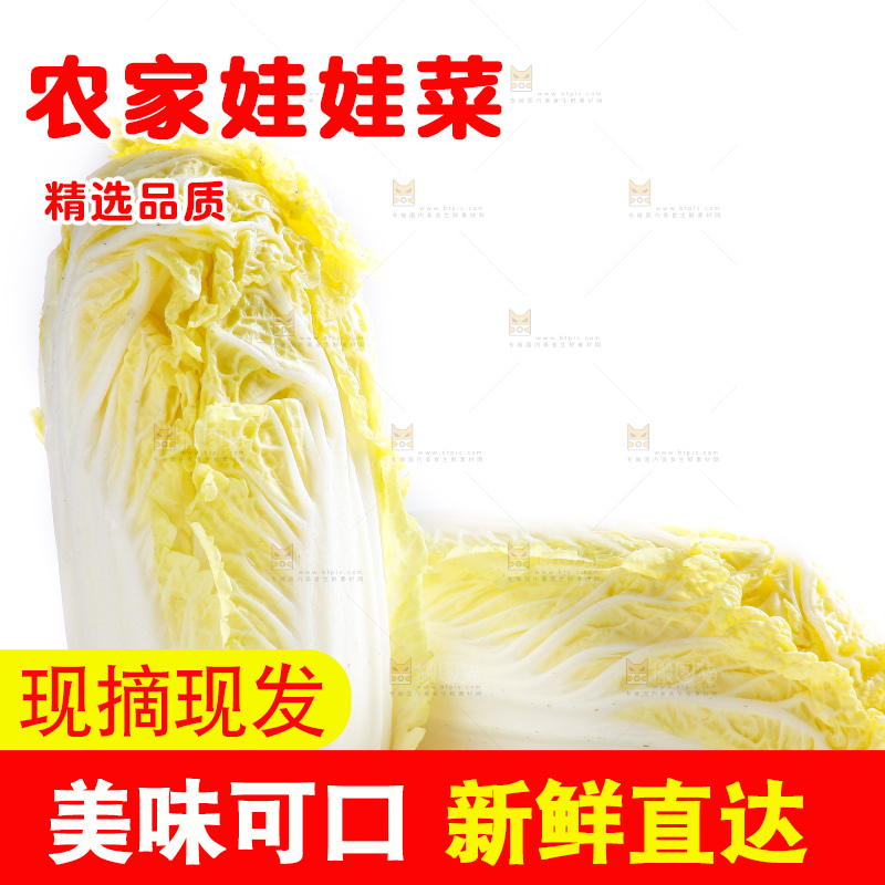 白底上的娃娃菜