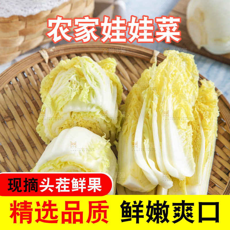 浅底上的娃娃菜