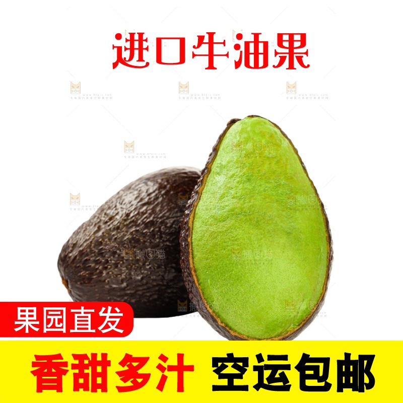 白底上的牛油果