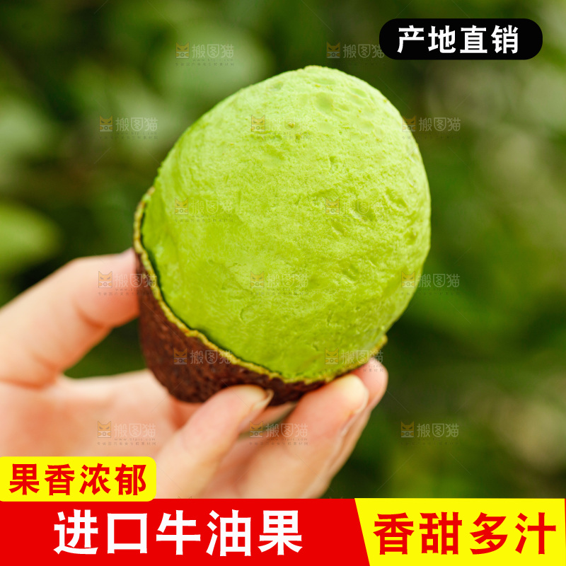手里拿着巨无霸牛油果
