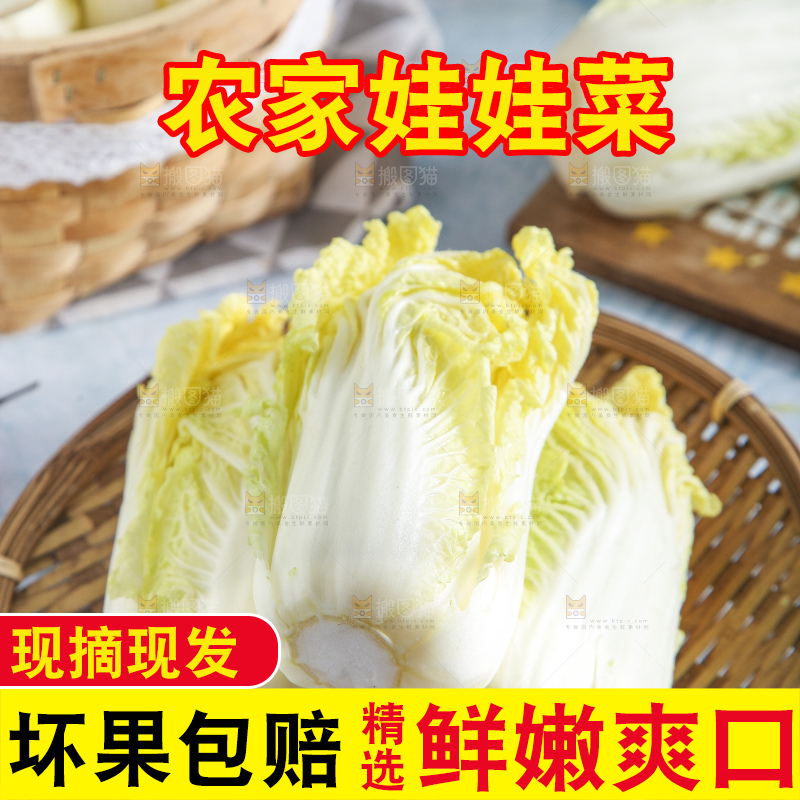 浅底上的娃娃菜