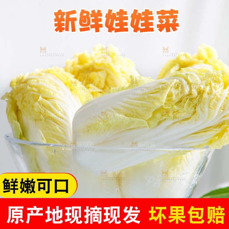 浅底上的娃娃菜