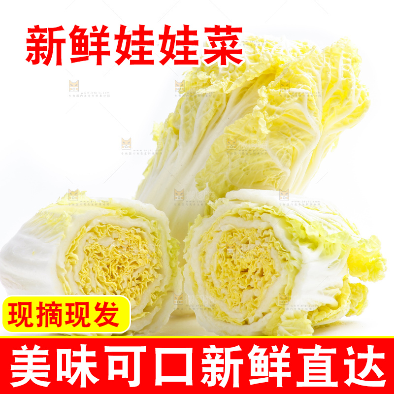 白底上的娃娃菜