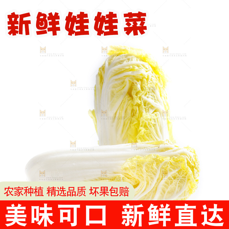 白底上的娃娃菜