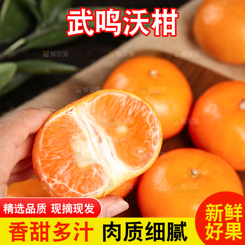 深底上的武鸣沃柑
