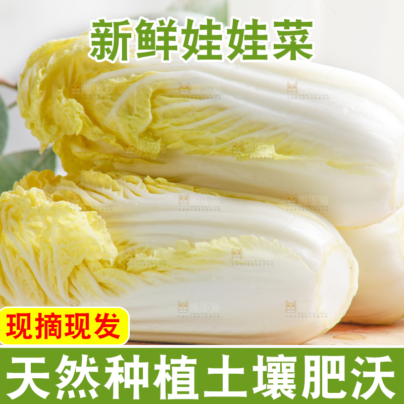 浅底上的娃娃菜