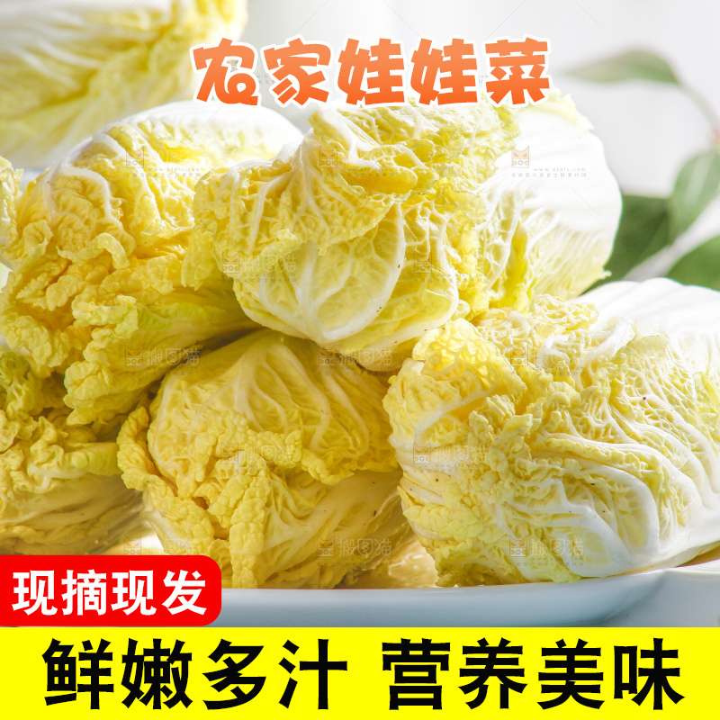 浅底上的娃娃菜