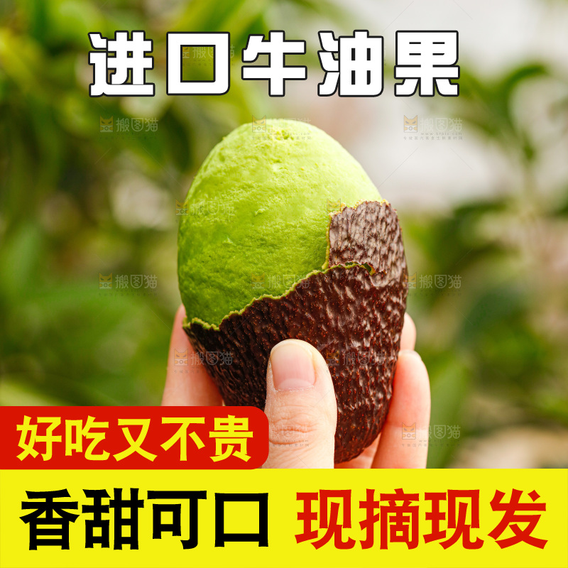 手里拿着巨无霸牛油果
