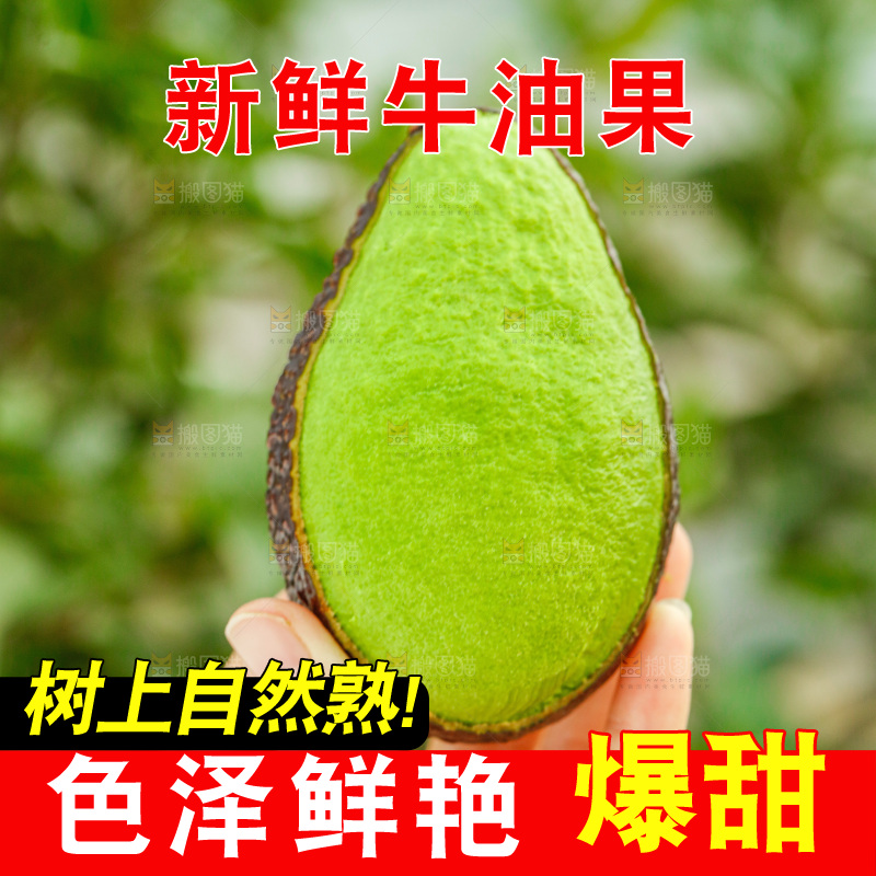 手里拿着巨无霸牛油果