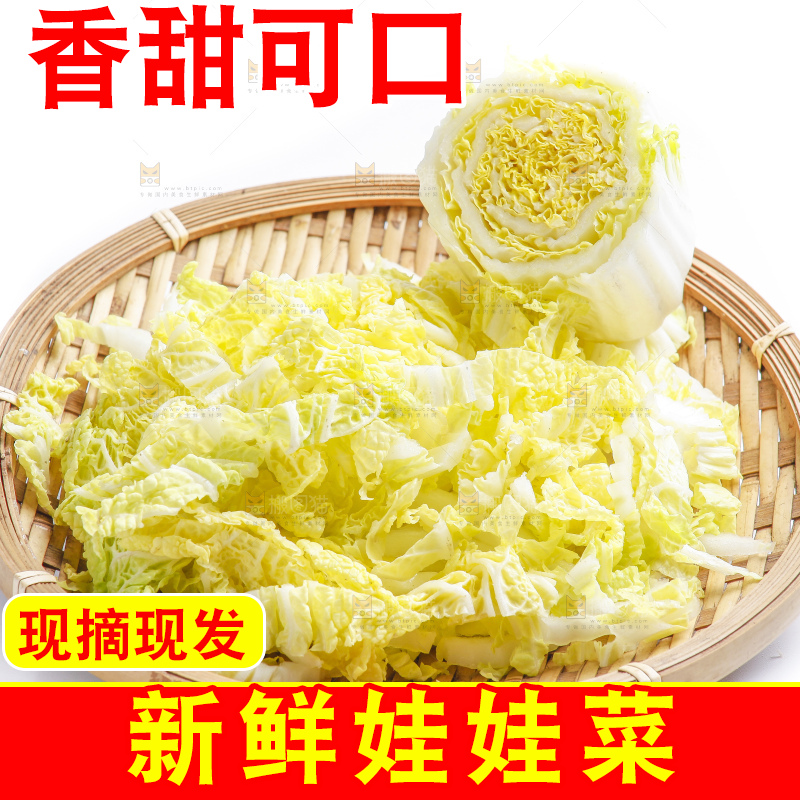 白底上的娃娃菜