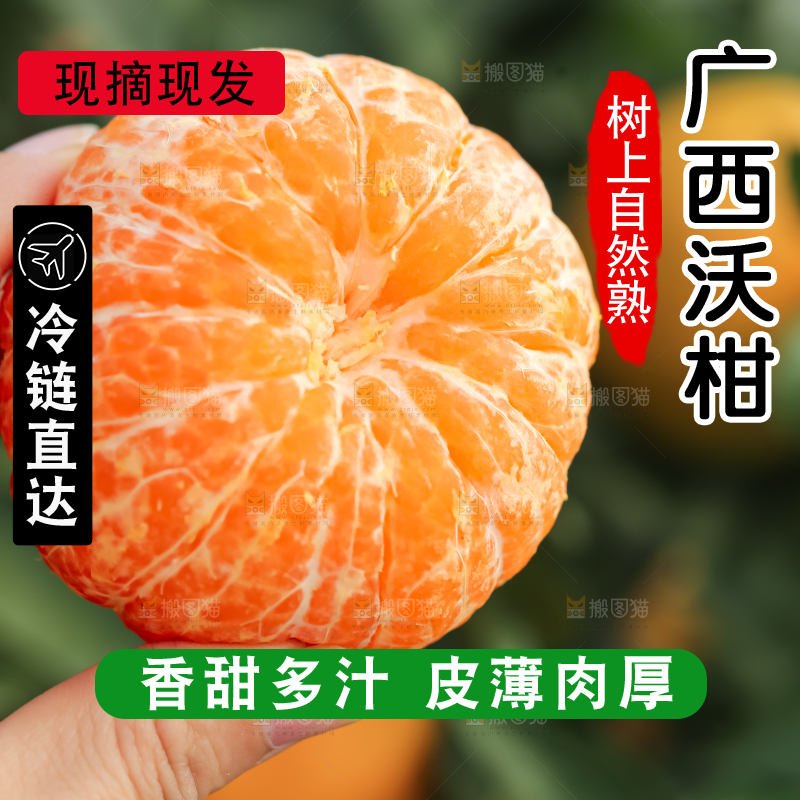 手里拿着新鲜沃柑