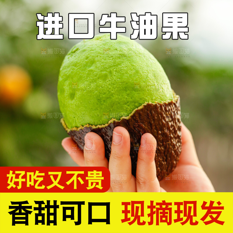 手里拿着巨无霸牛油果