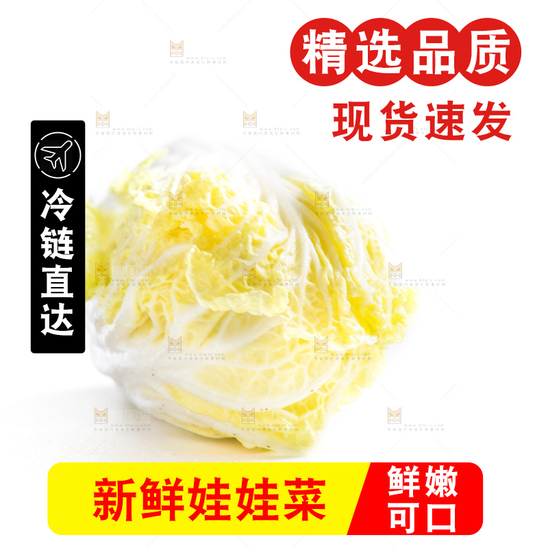 白底上的娃娃菜