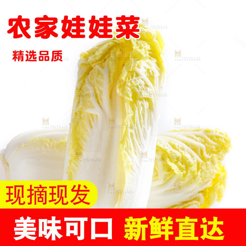 白底上的娃娃菜