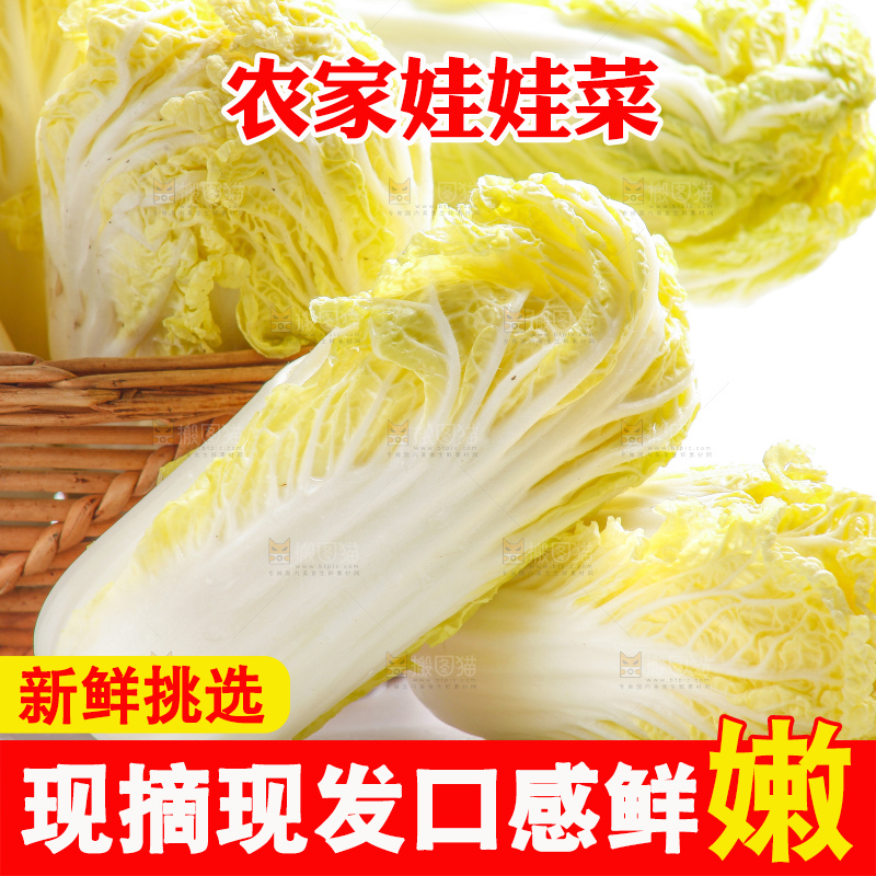 白底上的娃娃菜