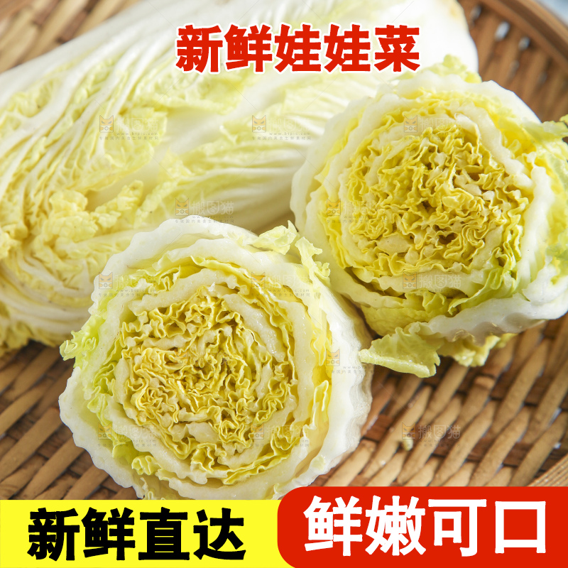 浅底上的娃娃菜