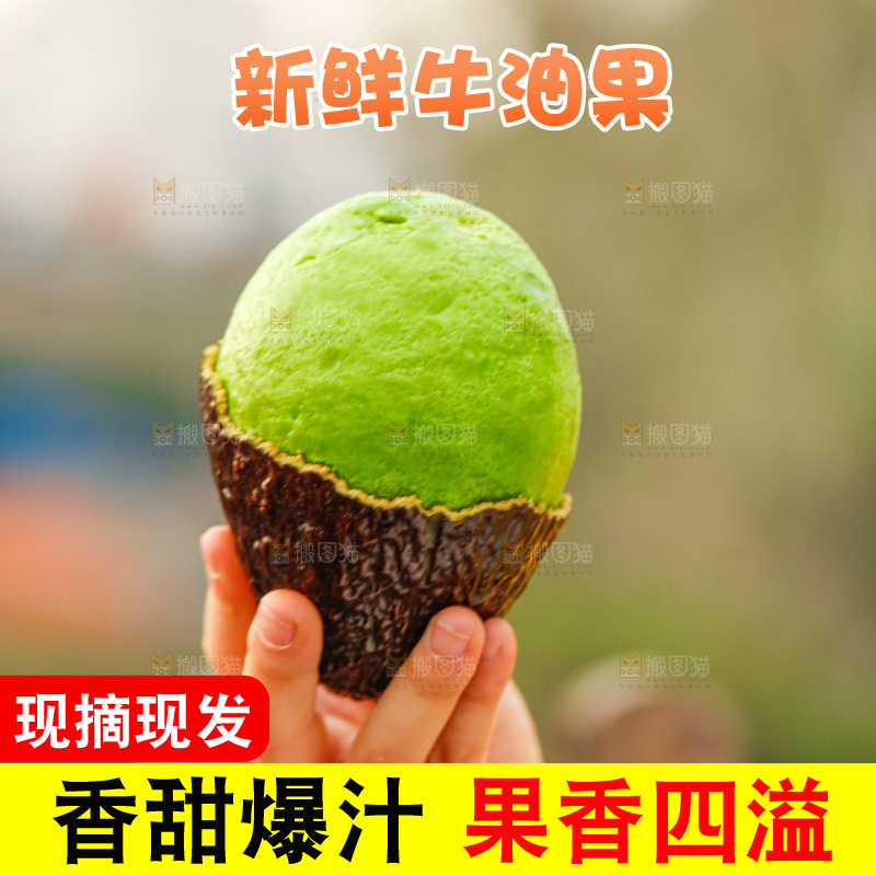 手里拿着巨无霸牛油果