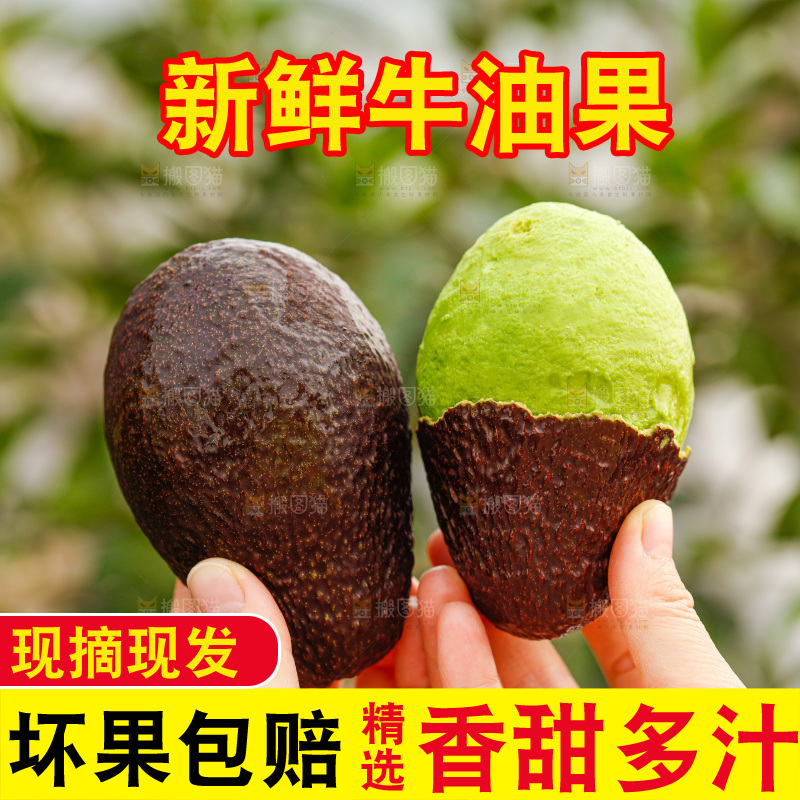 手里拿着巨无霸牛油果
