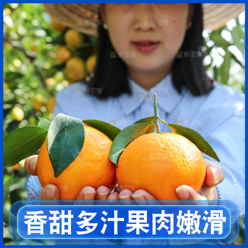 手里拿着爱媛果冻橙