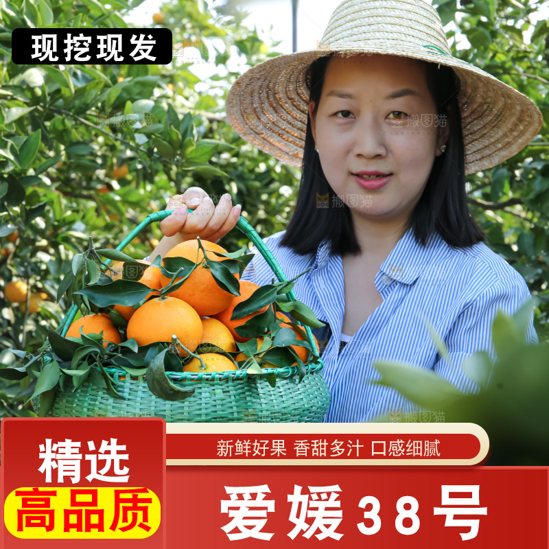 手里拿着爱媛果冻橙