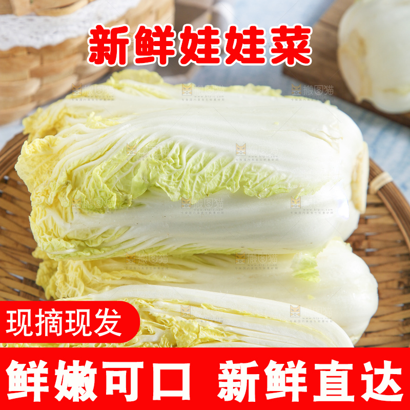 浅底上的娃娃菜