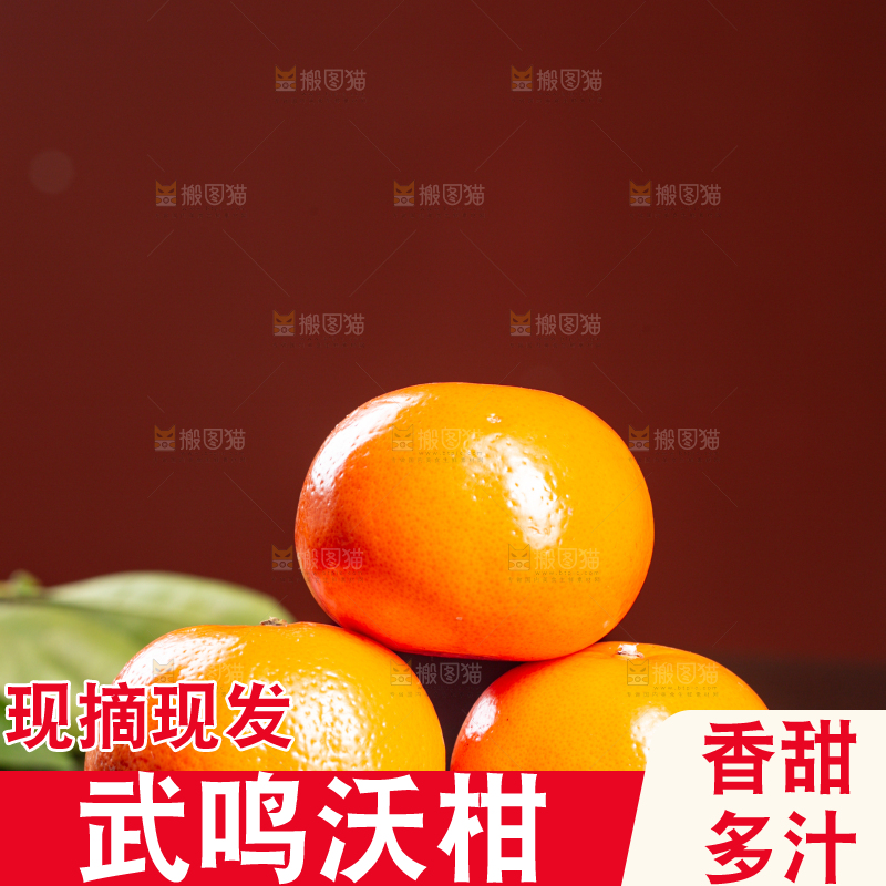 深底上的武鸣沃柑