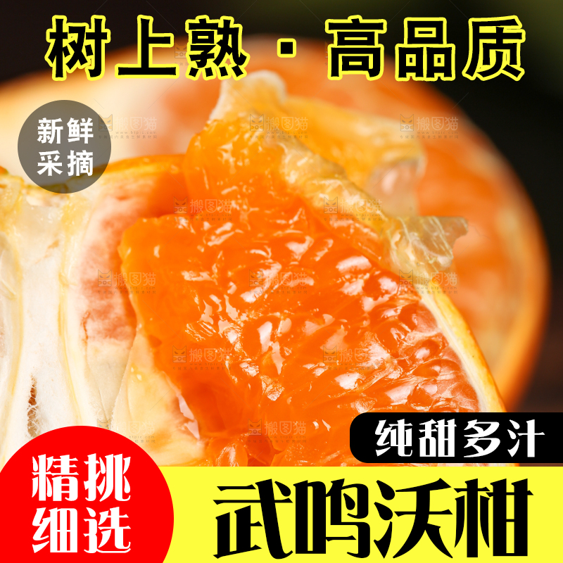深底上的武鸣沃柑
