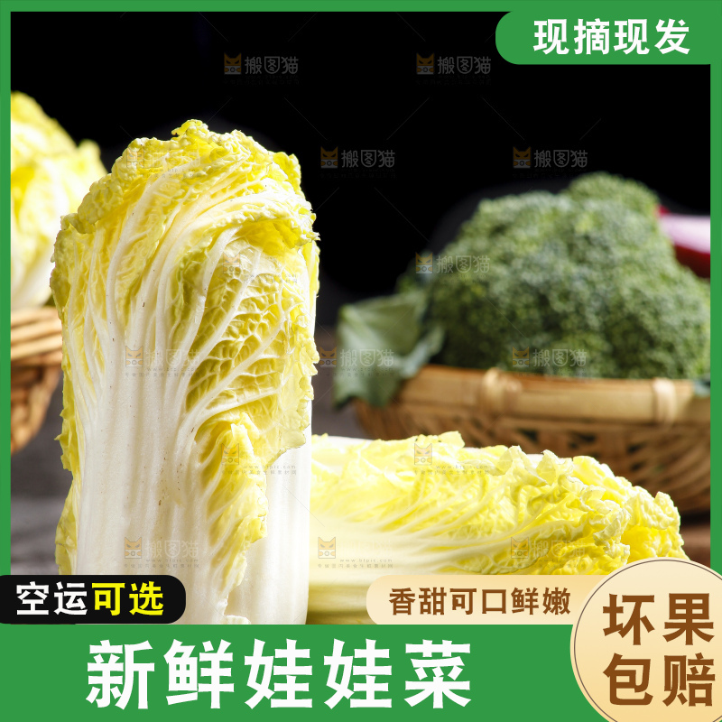 深底上的娃娃菜