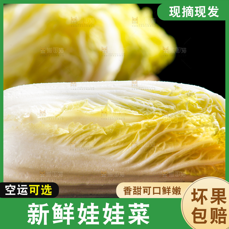 深底上的娃娃菜