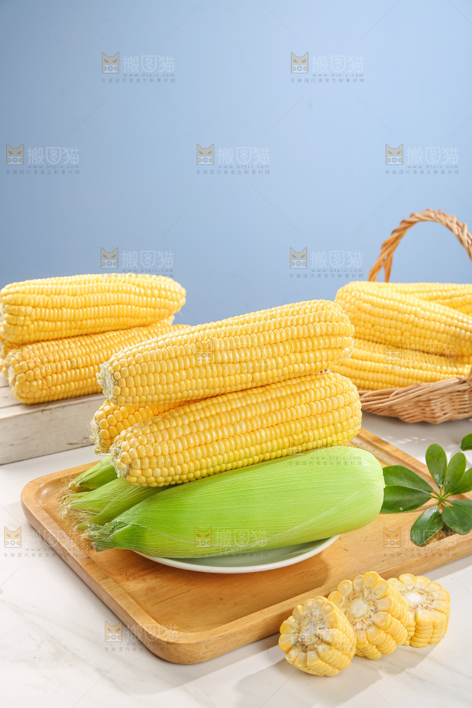 浅底上的黄玉米
